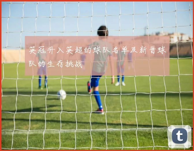 英冠升入英超的球队名单及新晋球队的生存挑战
