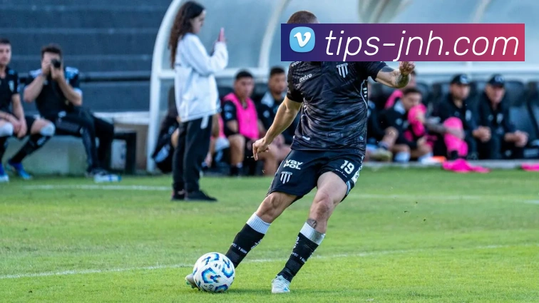 金年会体育平台生态图