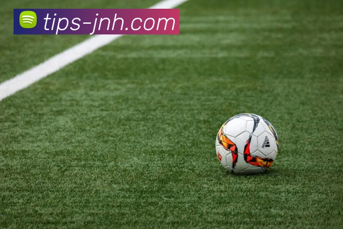 金年会体育APP 封面图